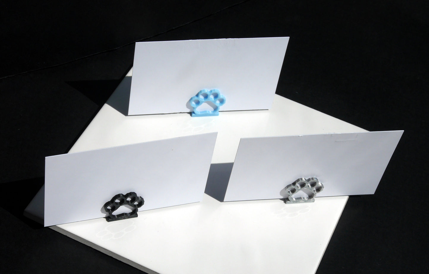 Animal Paw Footprint Shaped Place Holders