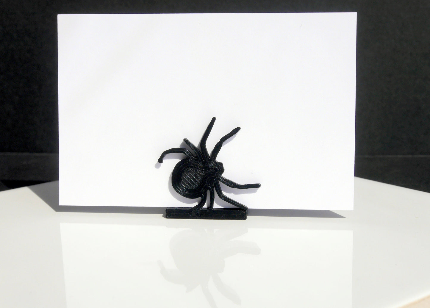 Scary Black Spider Shaped Name Place Stands