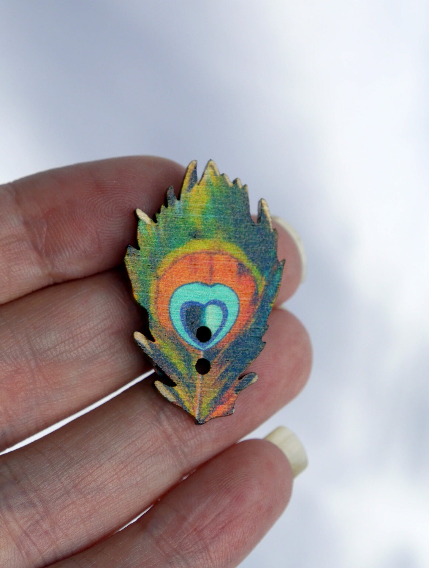 Peacock Feather Shaped Wooden Fridge Magnets (Set of 5 Magnets)