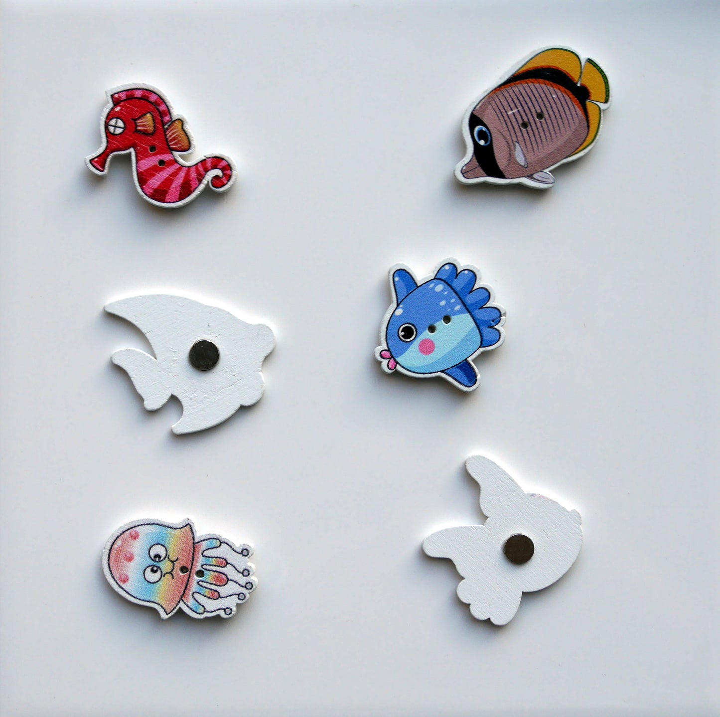 Aquatic Fish Shaped Fridge Magnets (Set of 5 Magnets)