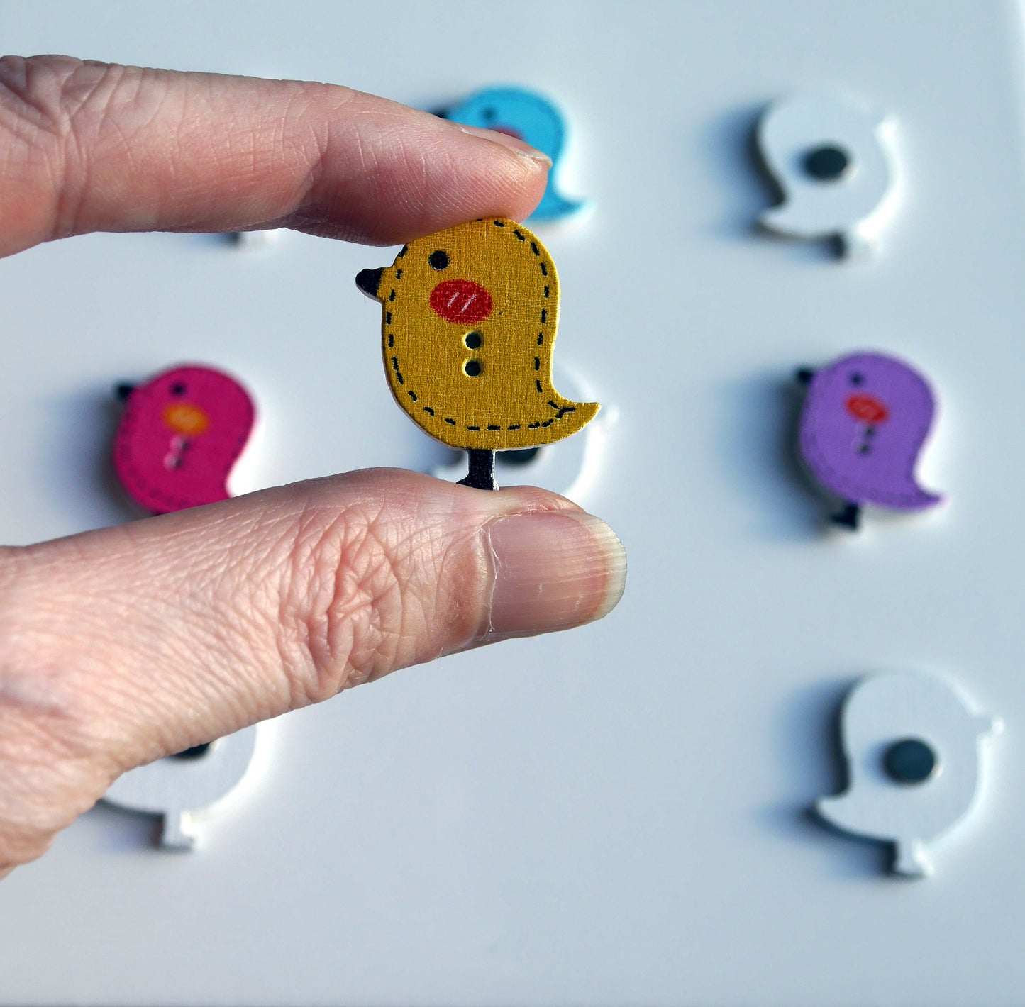 Chick Shaped Colourful Wooden Fridge Magnets (Set of 5 Magnets)