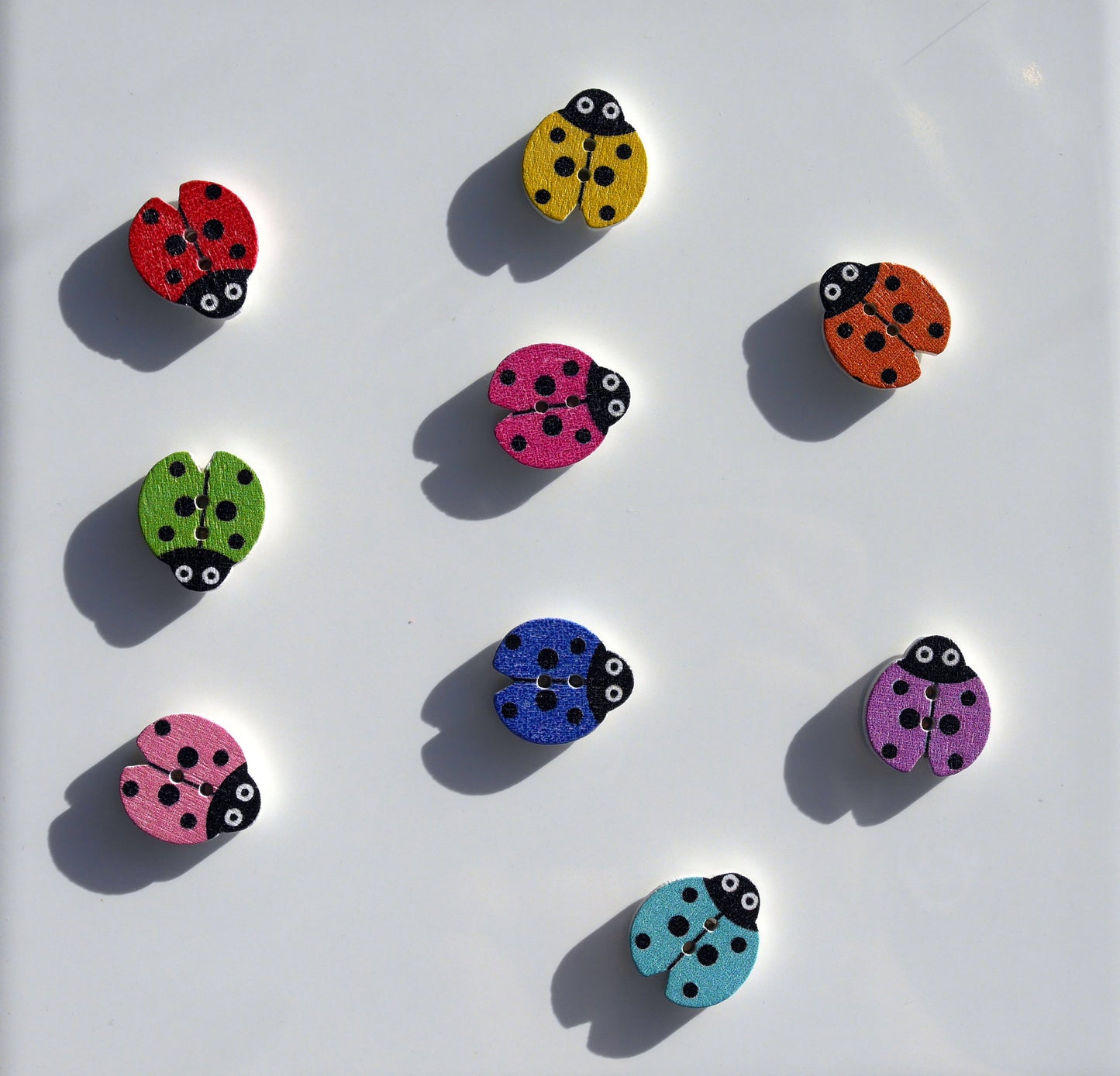Ladybird Lady Bug Shaped Mini Wooden Fridge Magnets (Set of 5 Magnets)