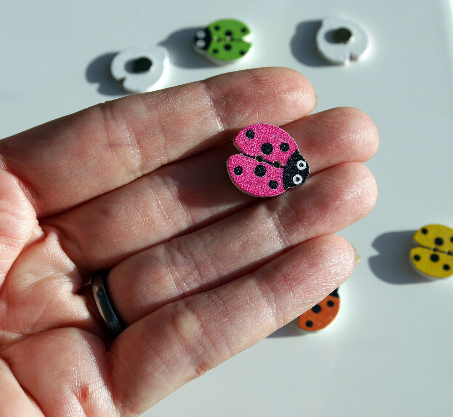 Ladybird Lady Bug Shaped Mini Wooden Fridge Magnets (Set of 5 Magnets)