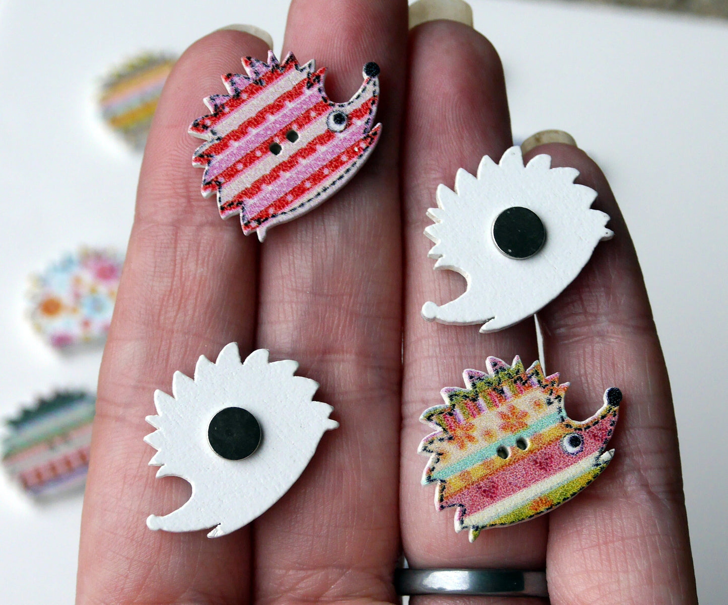 Hedgehog Shaped Colourful Wooden Mini Fridge Magnets (Set of 5 Magnets)