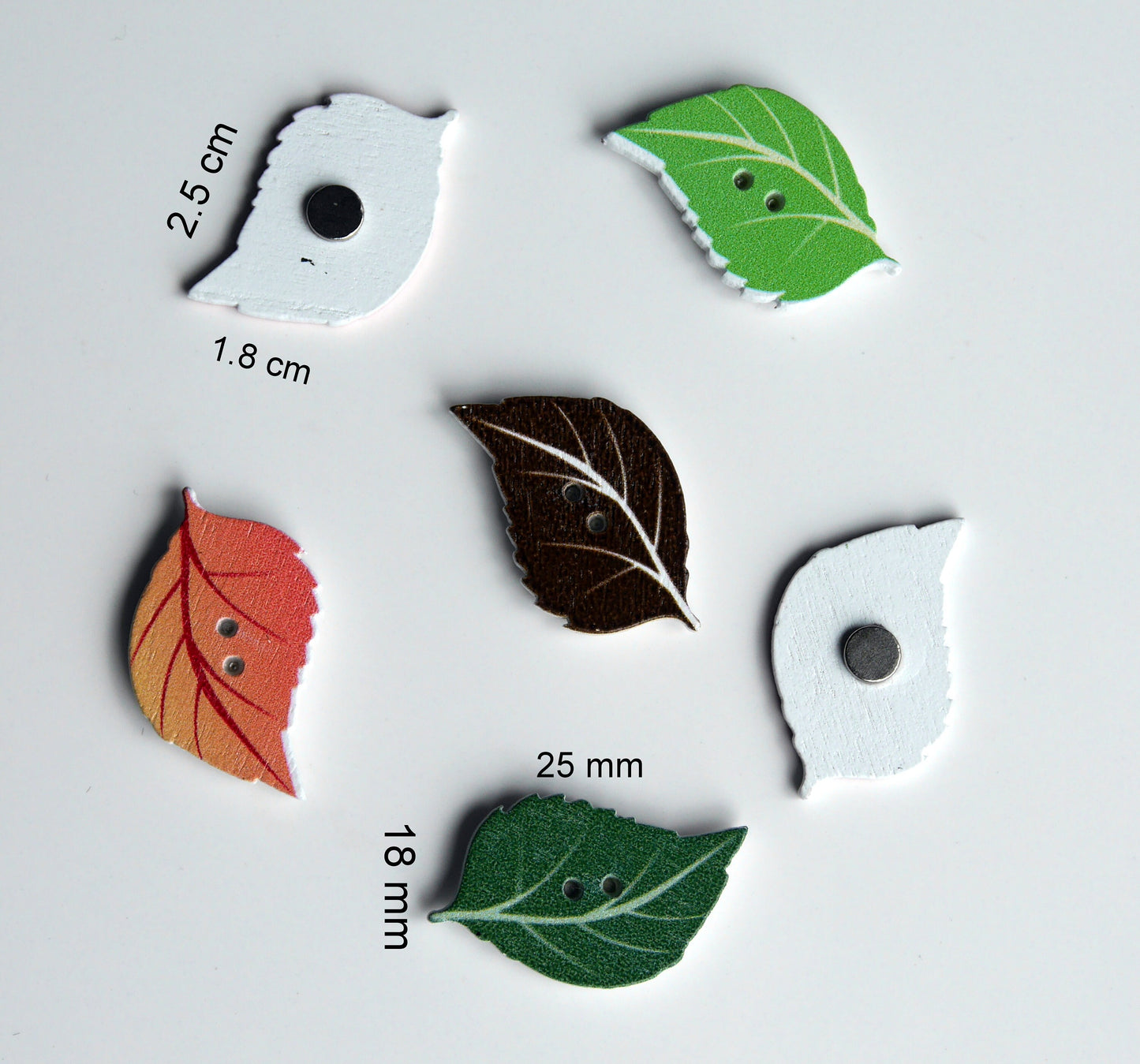 Tree Leaf Shaped Mini Fridge Magnets - (Set of 5 Magnets)
