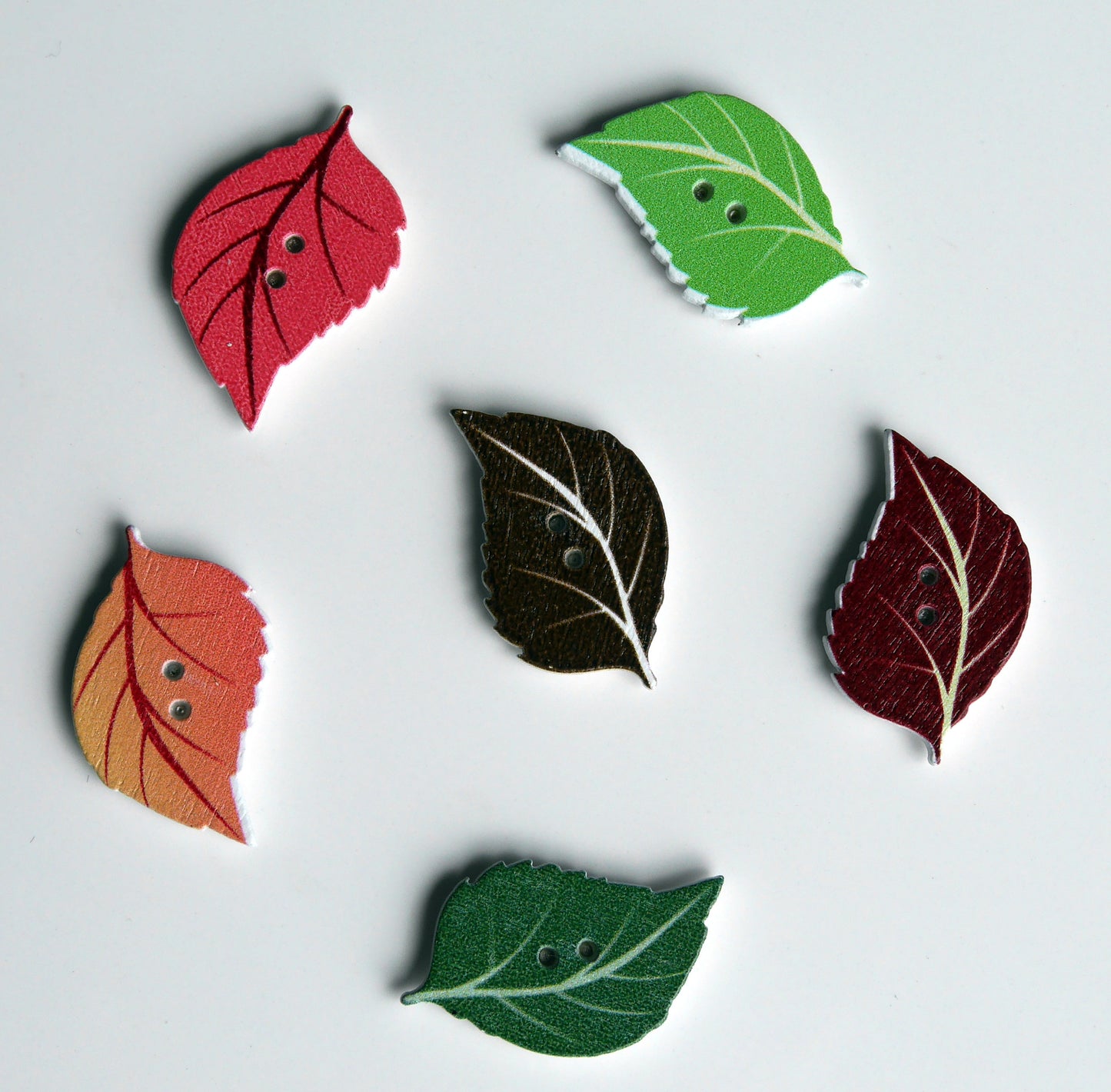 Tree Leaf Shaped Mini Fridge Magnets - (Set of 5 Magnets)