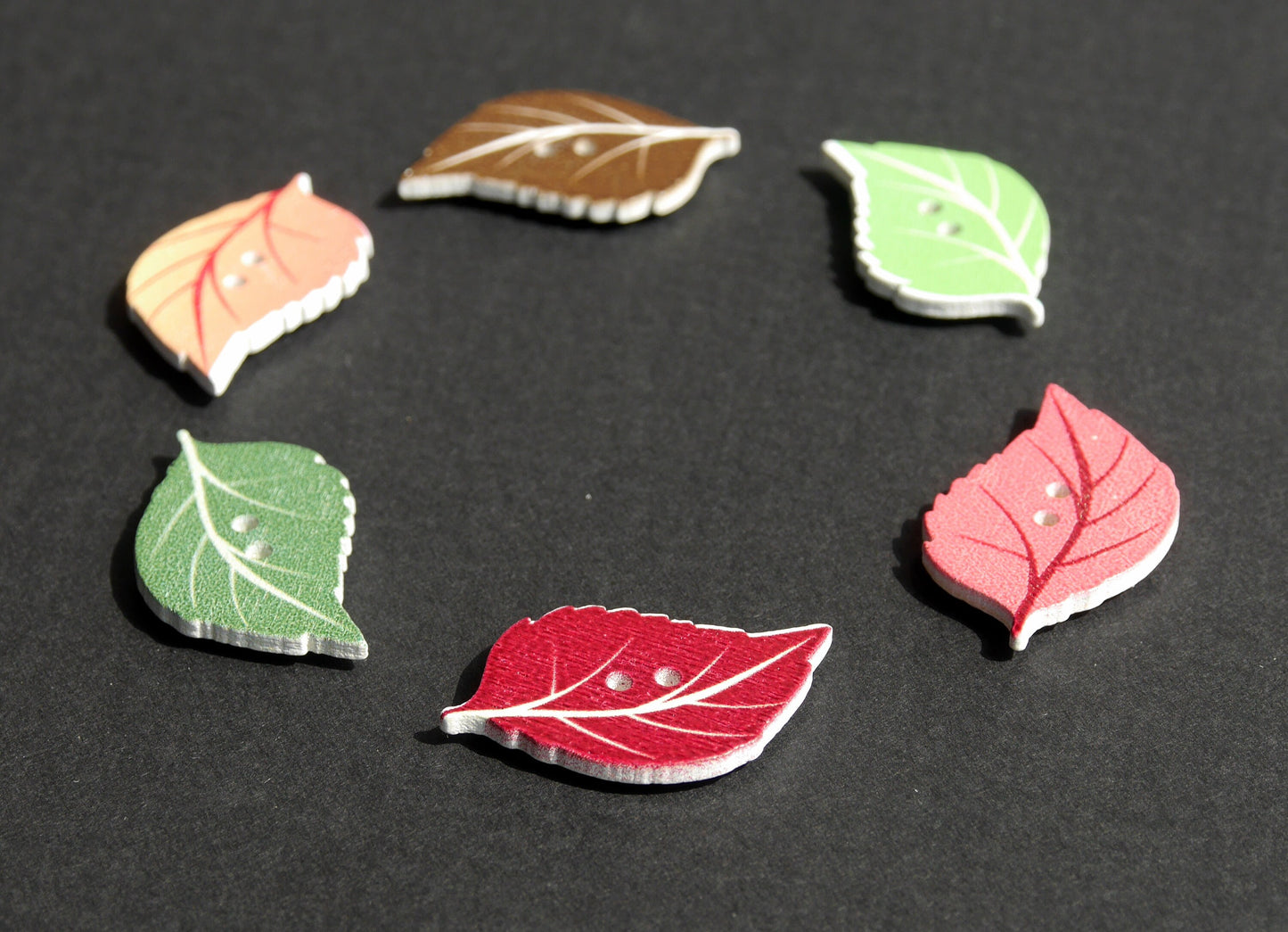 Tree Leaf Shaped Mini Fridge Magnets - (Set of 5 Magnets)