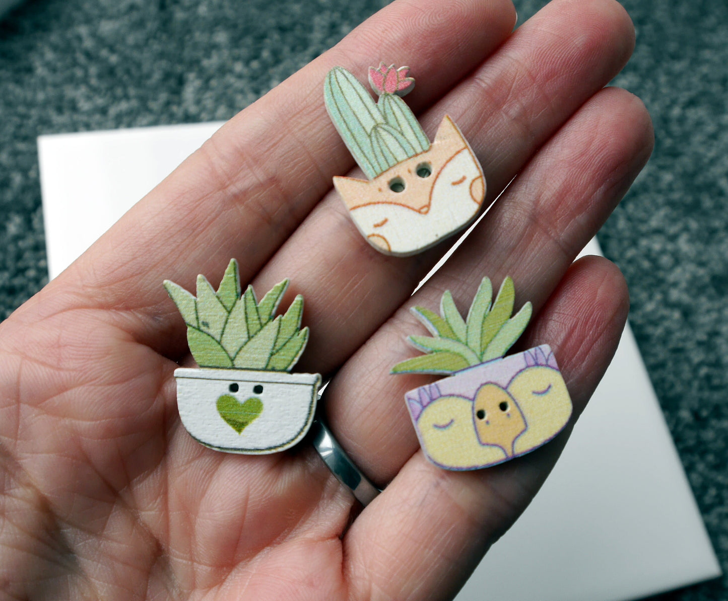 Succulent Plant Shaped Wooden Fridge Magnets (Set of 5 Magnets)
