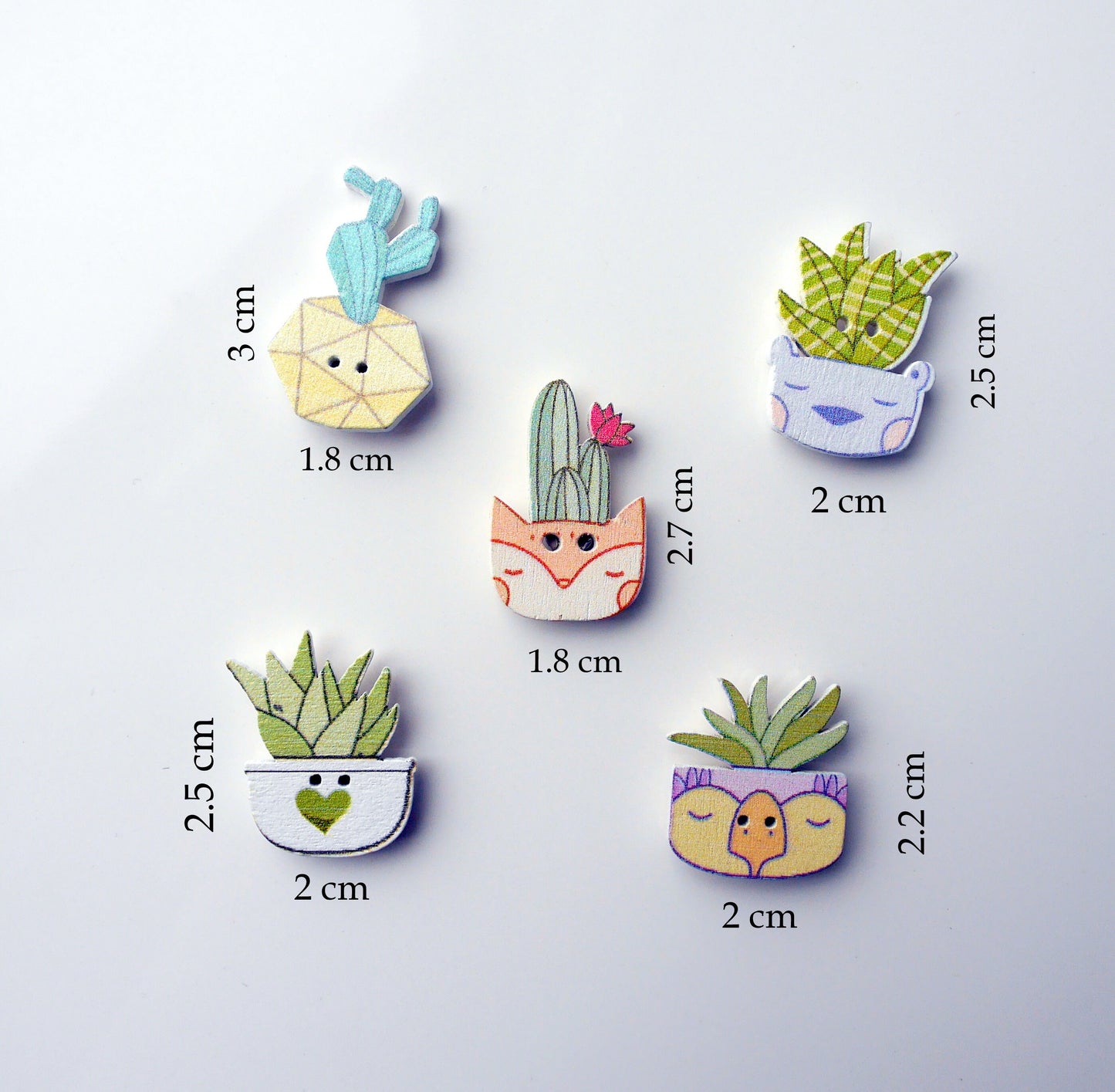 Succulent Plant Shaped Wooden Fridge Magnets (Set of 5 Magnets)