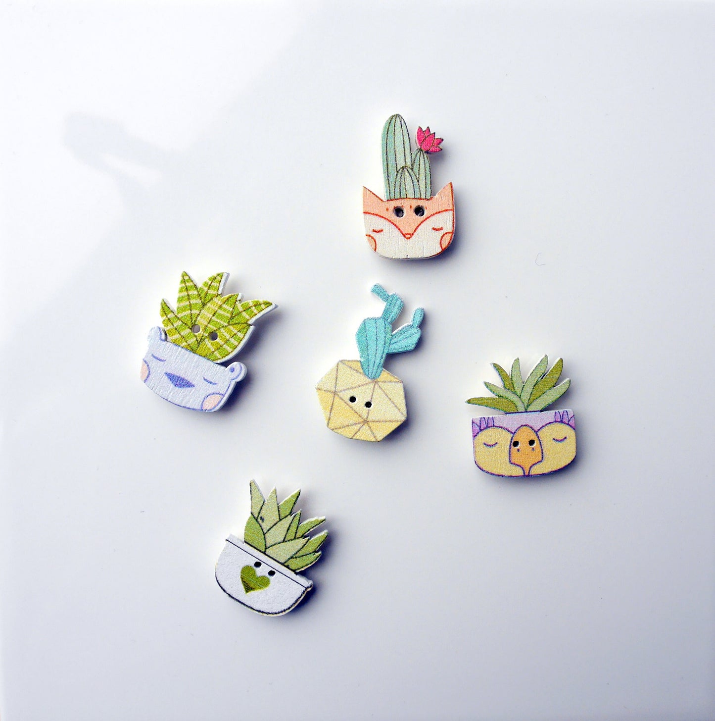 Succulent Plant Shaped Wooden Fridge Magnets (Set of 5 Magnets)