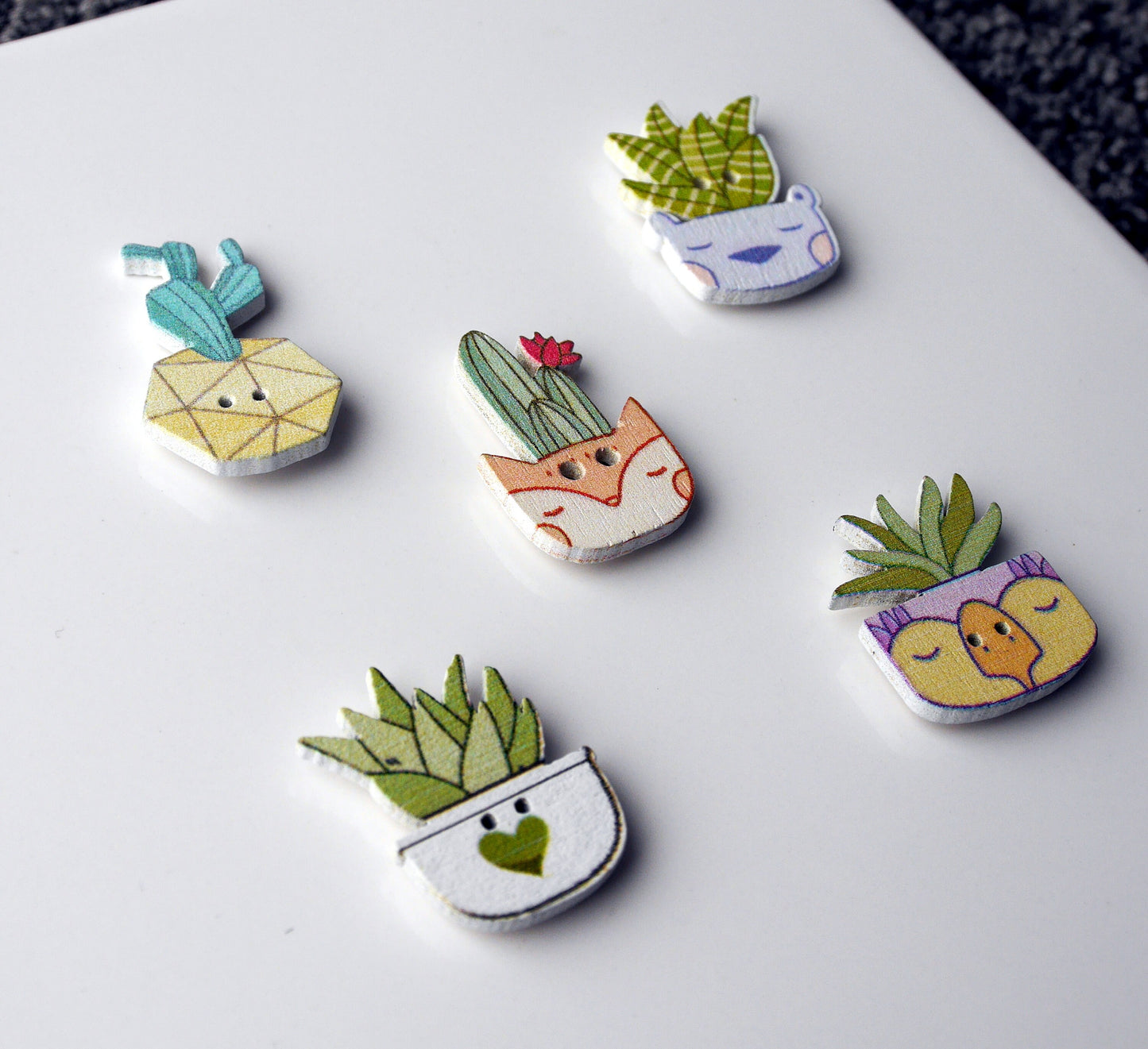 Succulent Plant Shaped Wooden Fridge Magnets (Set of 5 Magnets)