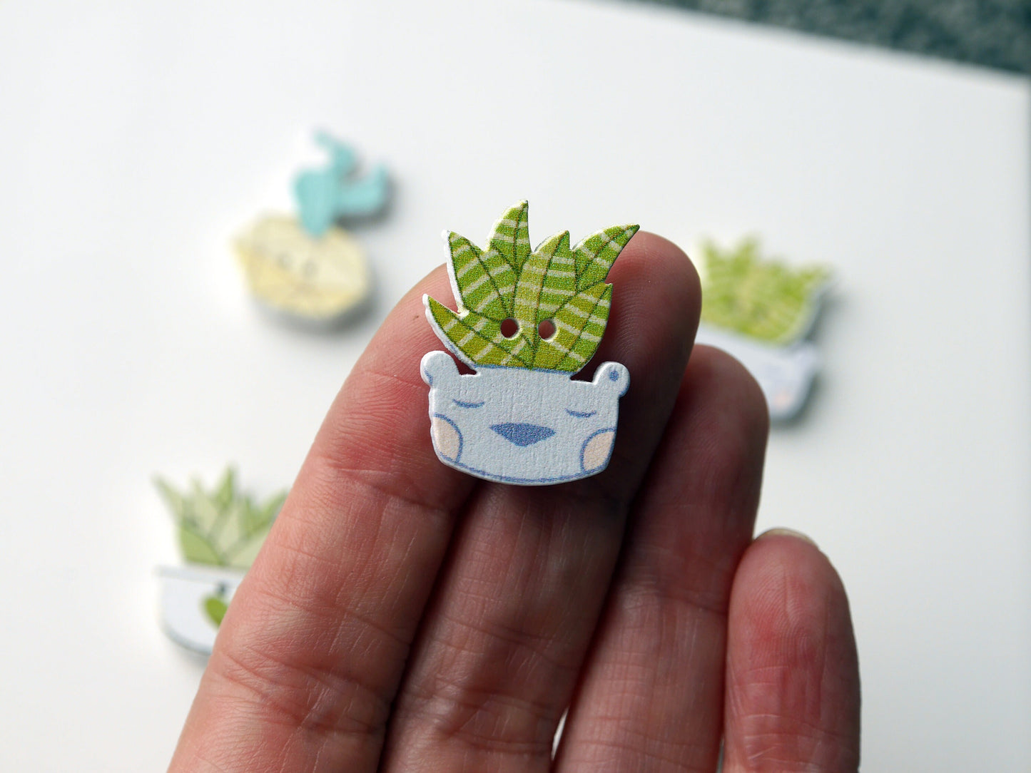Succulent Plant Shaped Wooden Fridge Magnets (Set of 5 Magnets)